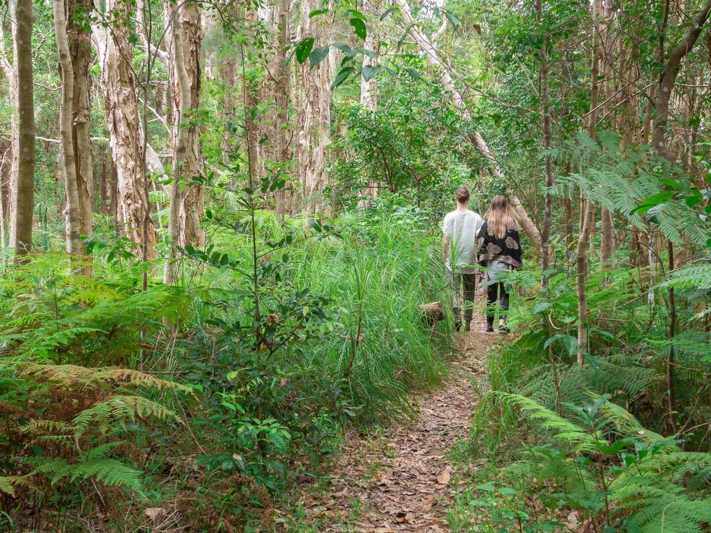 Abelia House Panzió Byron Bay Kültér fotó