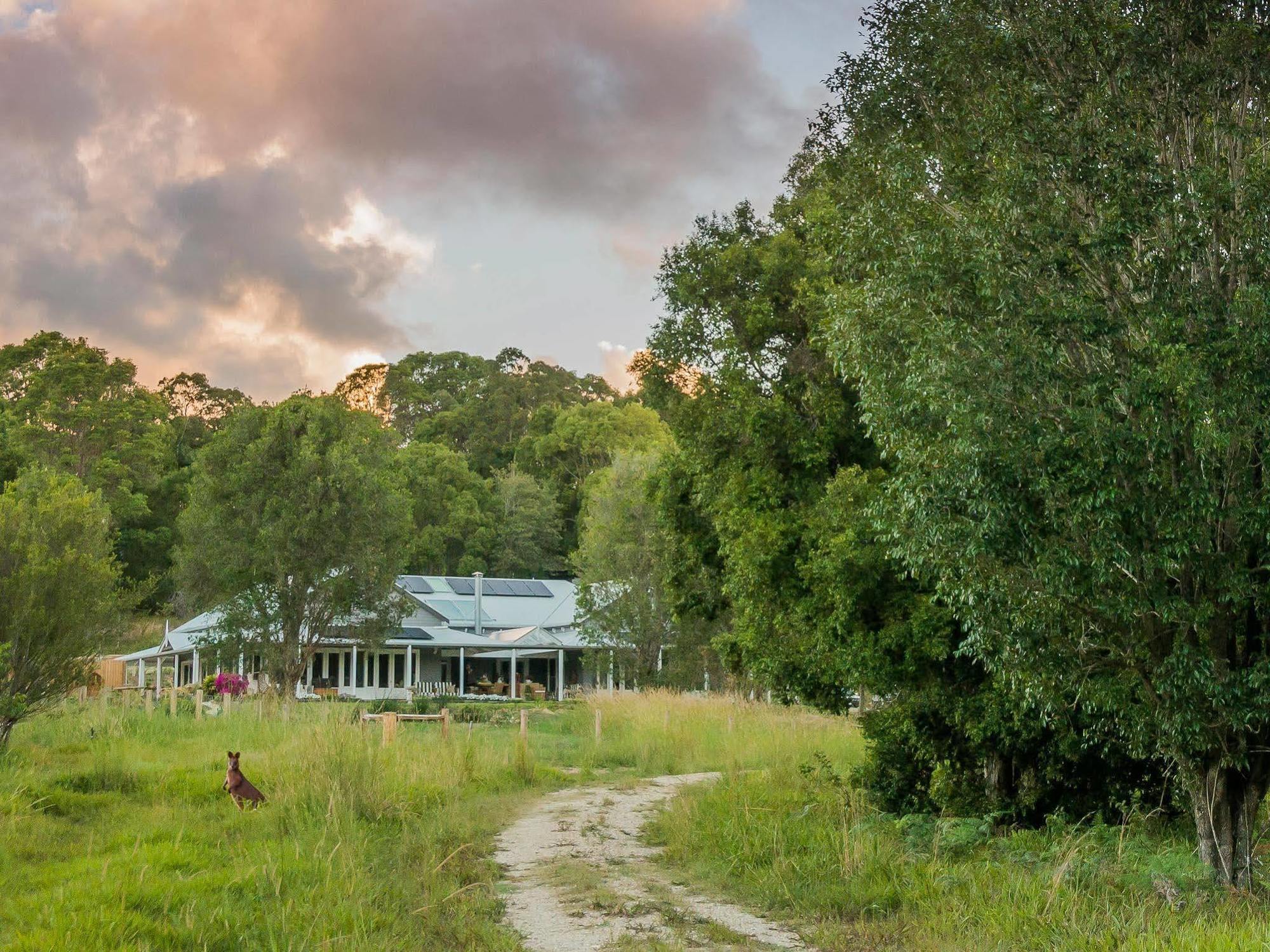 Abelia House Panzió Byron Bay Kültér fotó