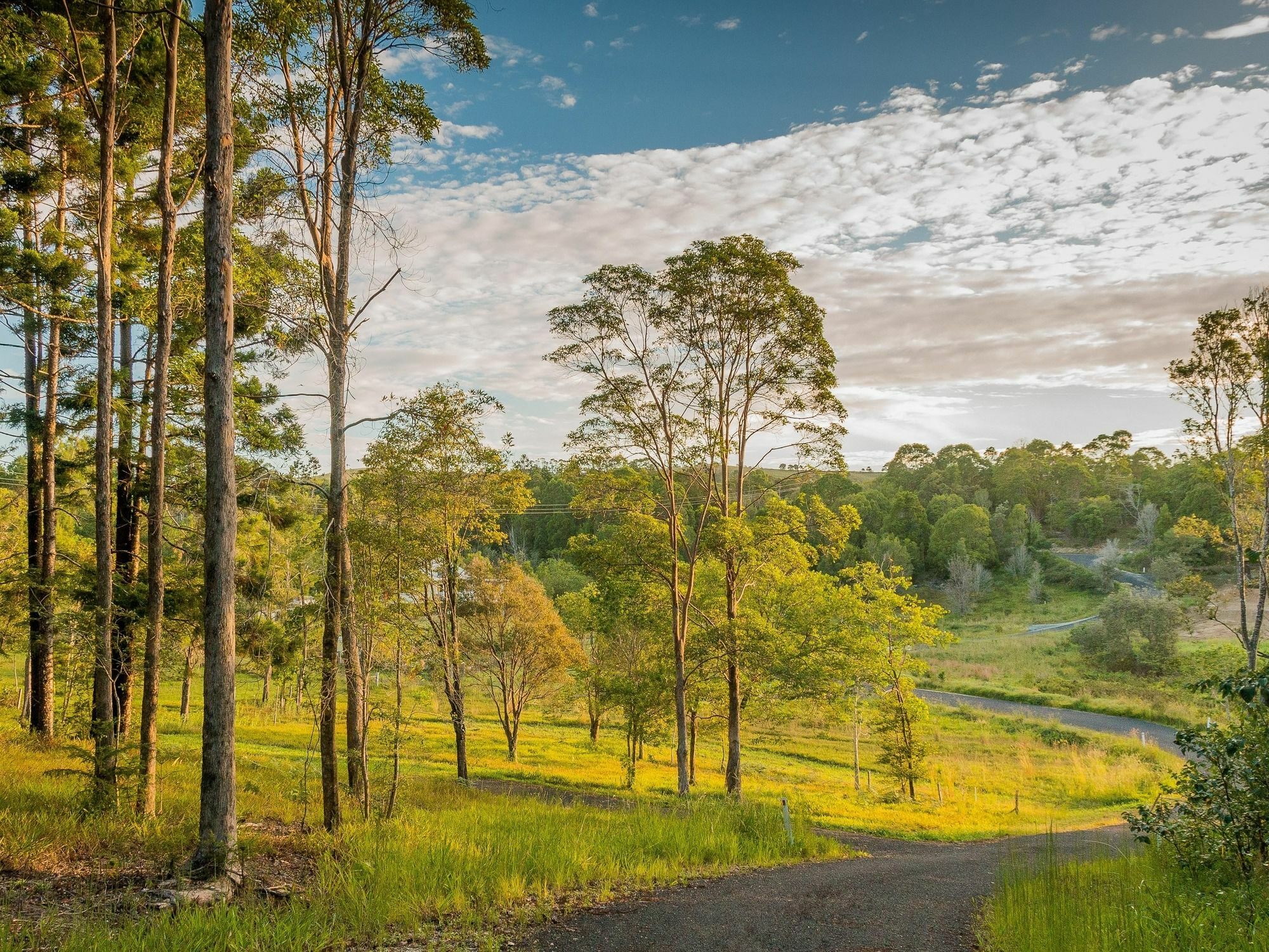 Abelia House Panzió Byron Bay Kültér fotó