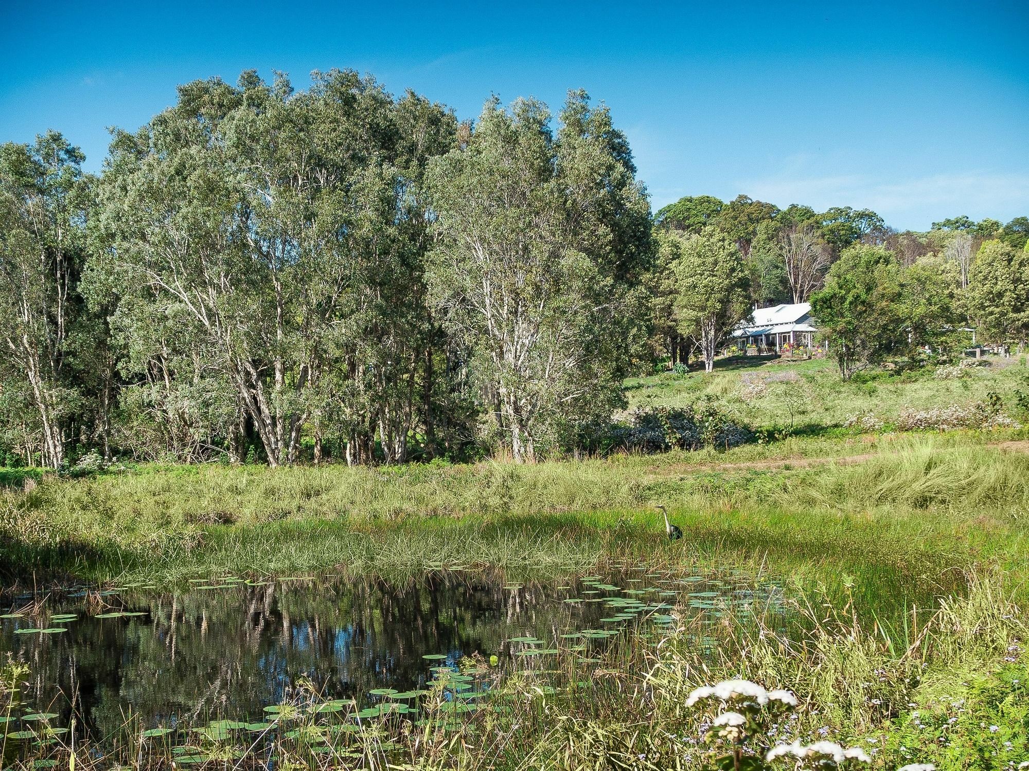 Abelia House Panzió Byron Bay Kültér fotó