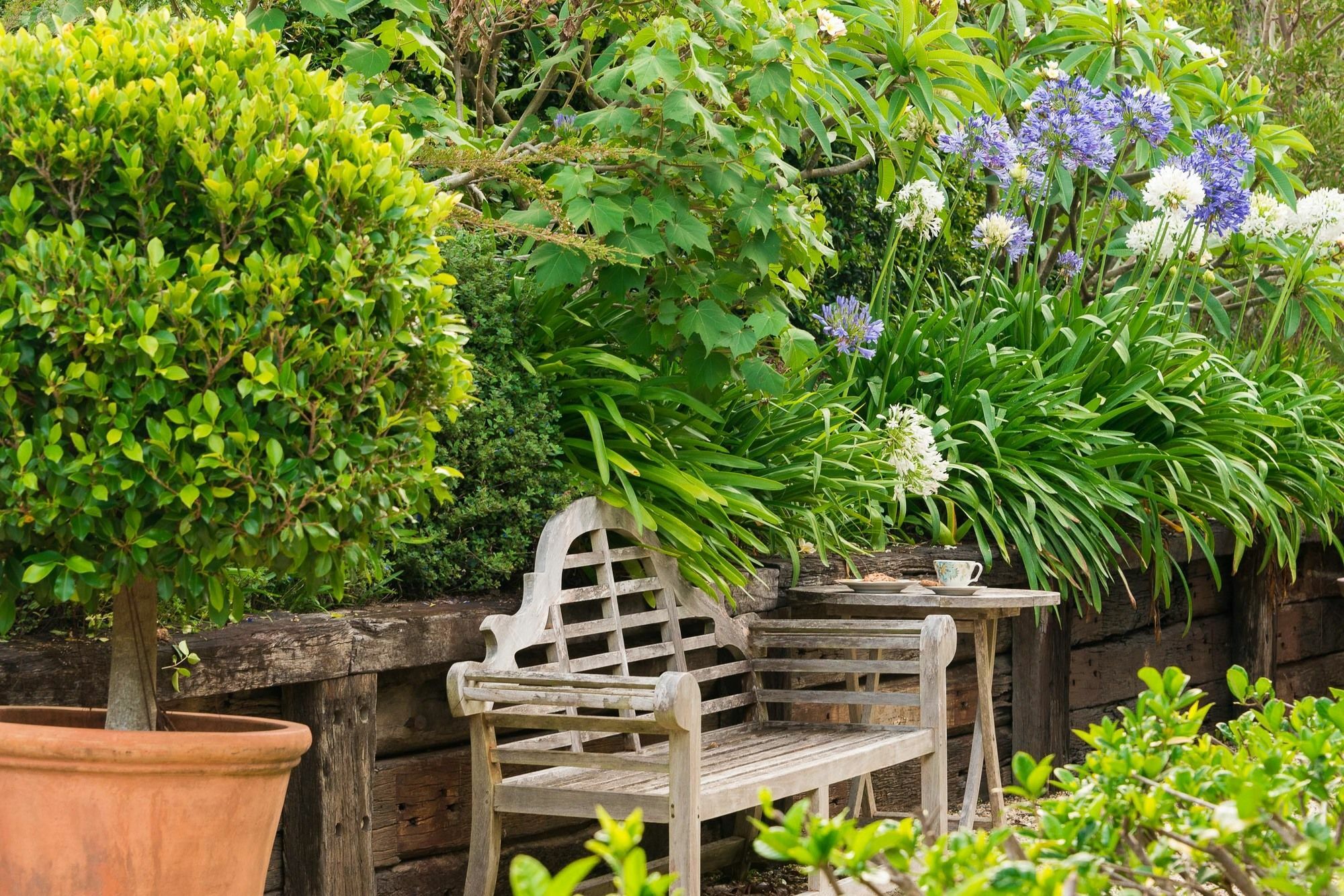 Abelia House Panzió Byron Bay Kültér fotó